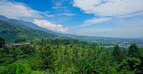 Apartments in Puncak